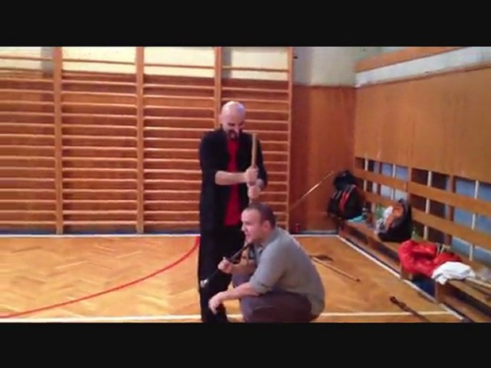 Wing Tsun Universe (WTU) Guild Seminar Bratislava 12 2011