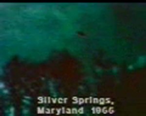 silver springs ufo ovni 1966