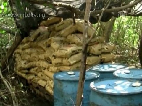 В заповеднике Мексики нашли нарколабораторию