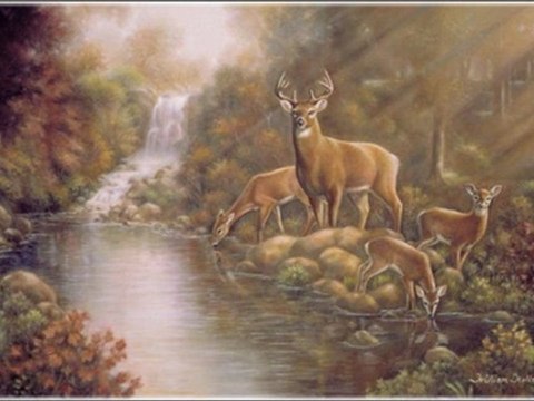 Selda Bağcan | Kova Kova İndirdiler