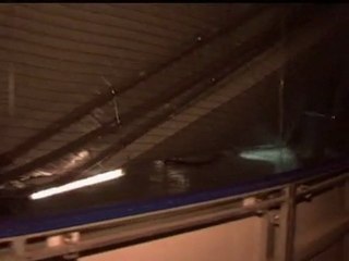 Ice rink collapse: Falling roof just misses Richard Zednik