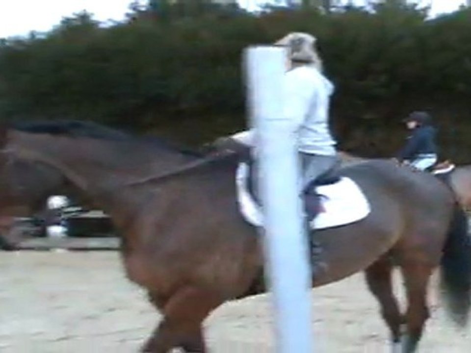 Pretatout et alicia