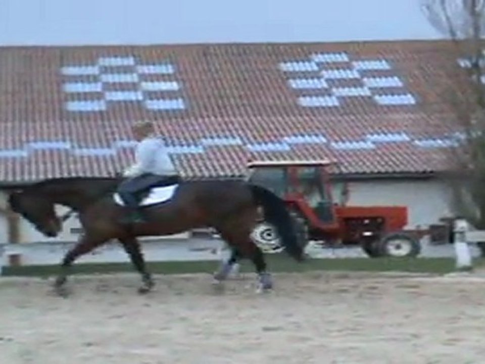 QUEHOPS ET CINDY TRAVAIL SUR LE PLAT