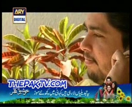 Mehmoodabad Ki Malkain Episode 178 By ary Digital Prt 2