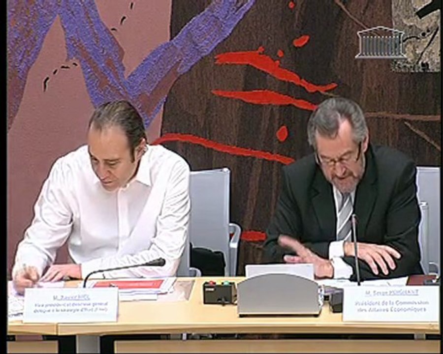 Audition de Xavier Niel, Commission des affaires économiques