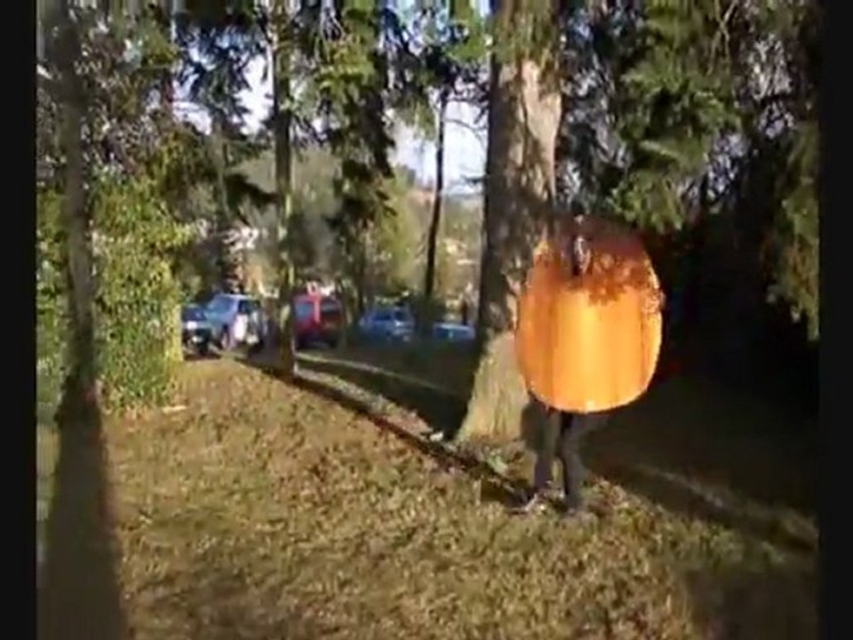 Légume show