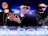 Alexis & Fido FT Farruko - Es Hora - REMIX