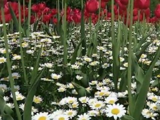 HÜSEYİN TURAN-YARİN OLAYIM