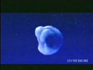 Fat Boy Slim - Right Here Right Now