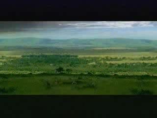 Recognize A Blonde Antelope