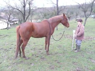 travail en béquilles!