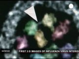 Japanese scientists discover flu clue