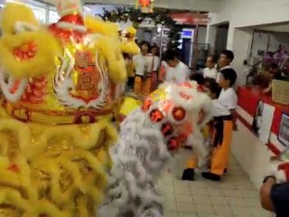 Hong De - Lion Dance - Champion Law-Wai
