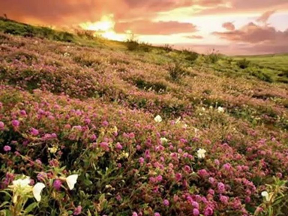İLKAY AKKAYA-ASLANIM ELLER ELLER
