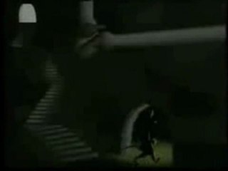 Élection présidentielle française de 2012 - 22 avril et 6 mai 2012 - MOUSELAND par Thomas Clement Douglas - SOUS TITRES FRANCAIS