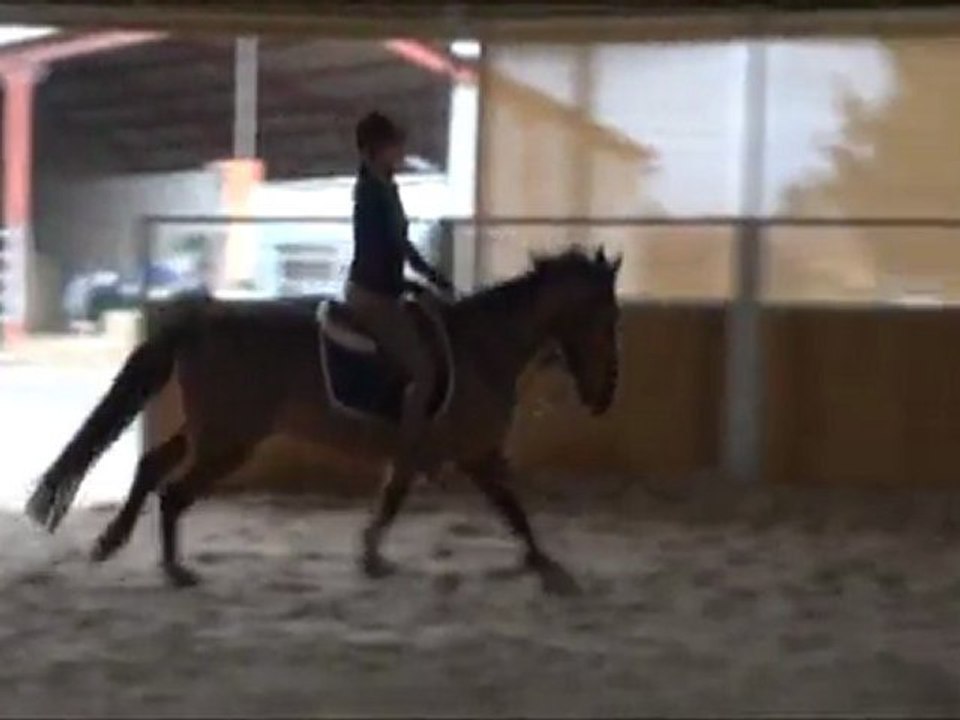 tkt janvier2012