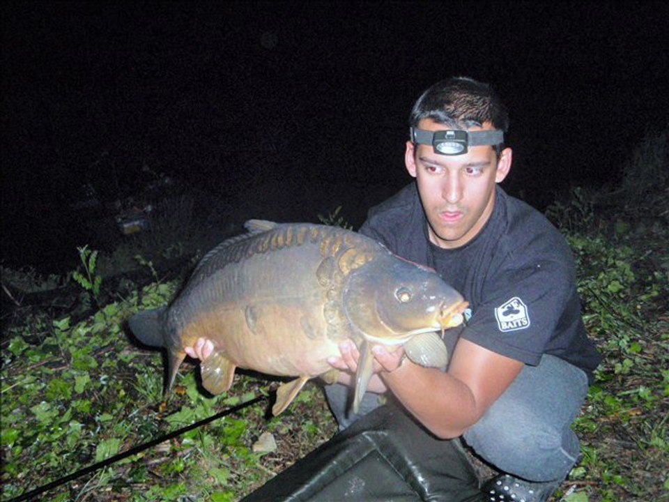saison carpe 2011