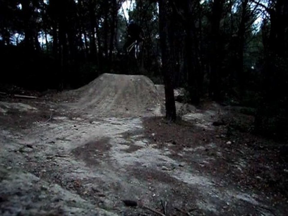 test ralenti whip