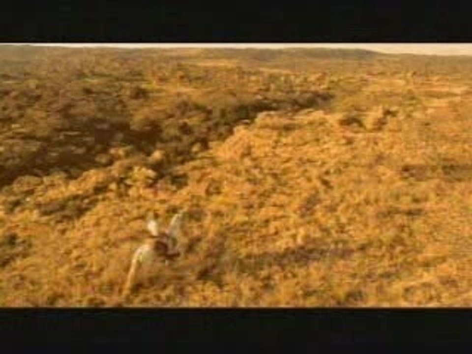 Western, Cow-boy solitaire