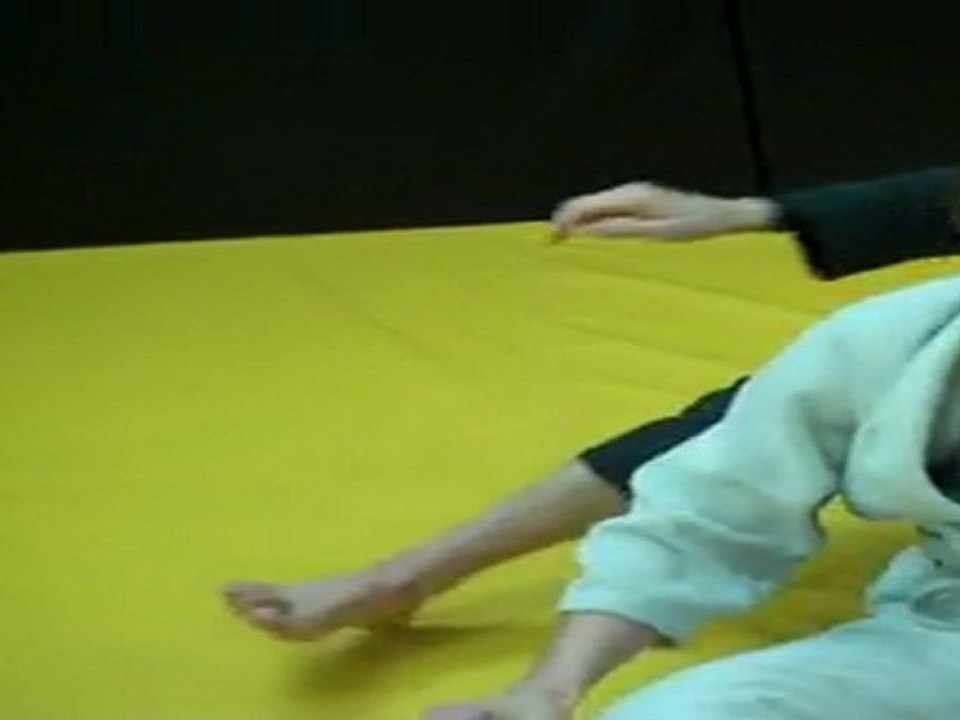 Indianapolis Jiu Jitsu | Carlson Gracie Team | Armlock from the Back