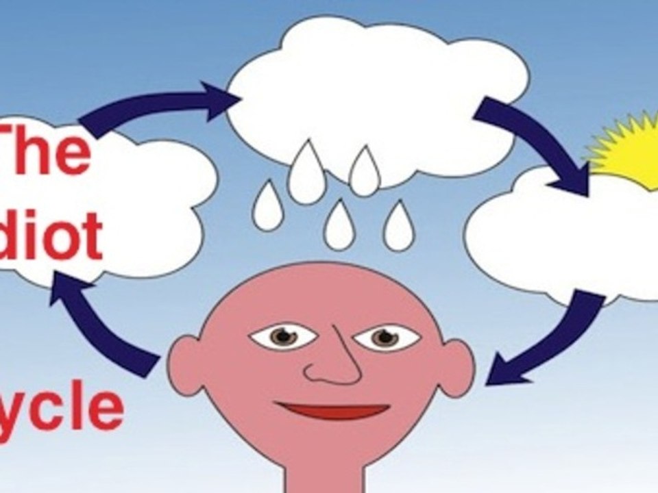 Idiot Cycle