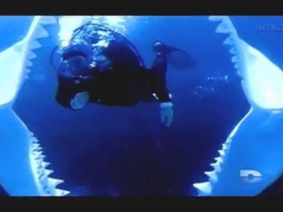 Bizarre ou quoi, Monstres et Mystères - 2 de 3