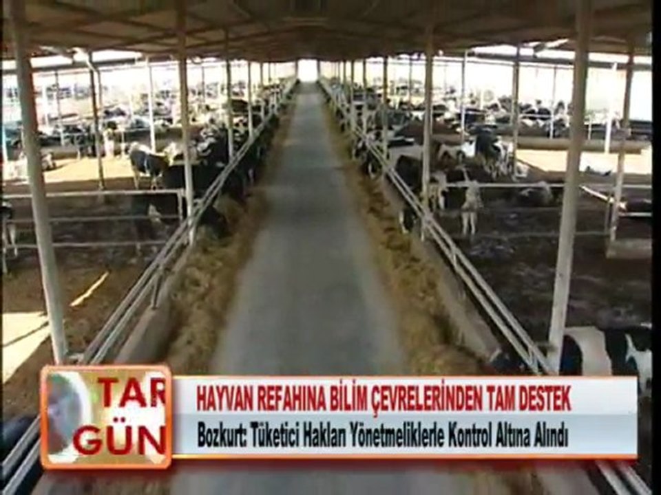 Hayvan Refahı Standartları Yeniden Belirledi 25.01.2012