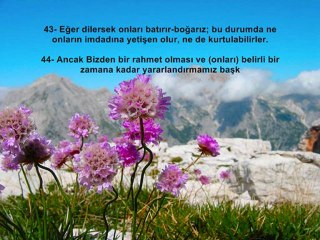 Yasini Şerif ve Yüce Meali