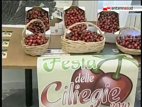 TG 18.05.10 La ciliegia pugliese amica della ricerca_converted