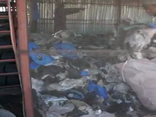 01-APPORTS06-MAH00494-Sevare-vidage sacs hangar_converted