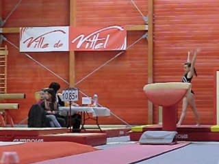 Championnats des vosges 22 janvier 2012