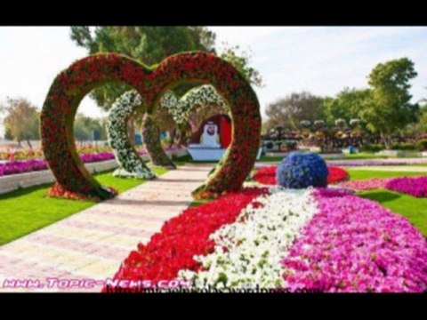 CATALIN MARUTA (n,27.01.78 ) La multi ani !