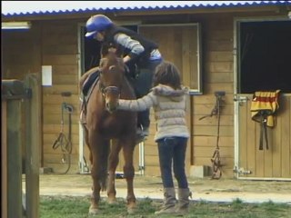 A very special horse...