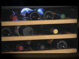 Avanti 149 Bottles Wine Cooler - Dual Zone