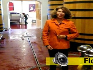 "J'ai plus de respect pour les entrepreneurs que pour les politiques"