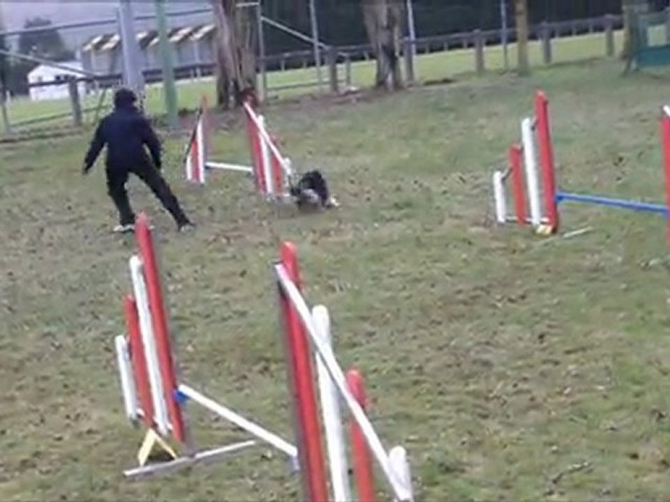 Entraînement ham du 22 janvier 2012