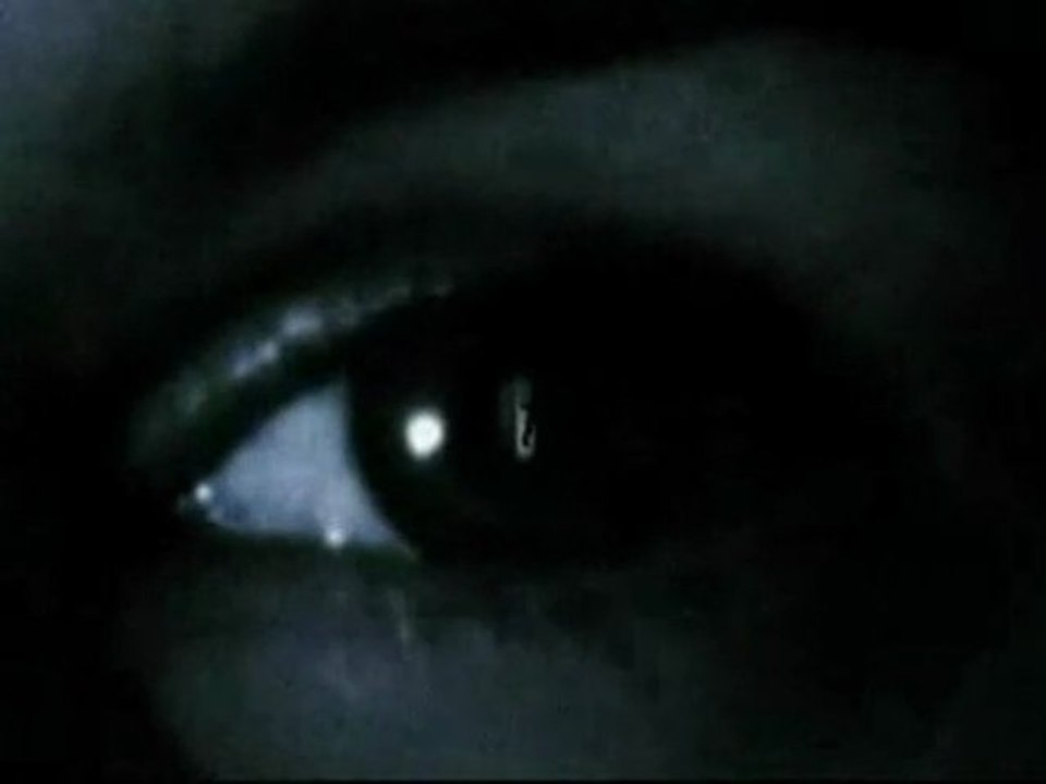 Générique web-série le journal intime de v.2d1967