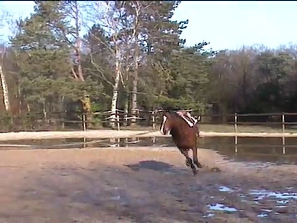 2012-01-27 19.09.33 un quack janvier 2012