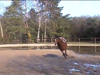 2012-01-27 19.09.33 un quack janvier 2012