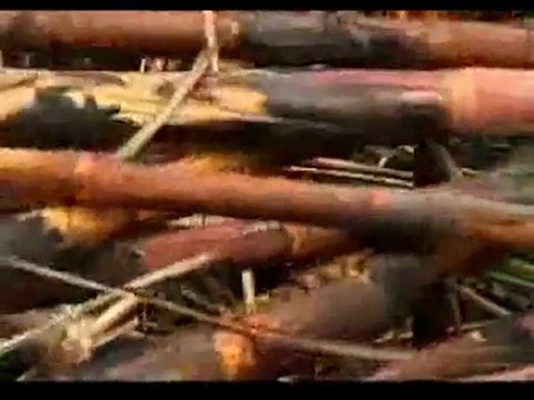 Инвесторам: сохранит ли медвежий тренд цена на сахар?