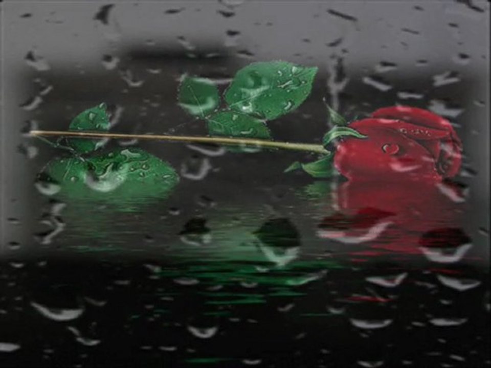 Sinan Özen - Kapına Kırmızı Bir Gül Bıraktım