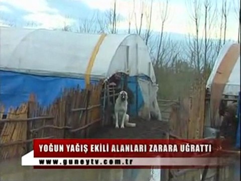 15 Bin Dönüm Tarım Arazisi Sular Altında