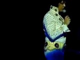Elvis on Tour 2010 - My Way - Shawn Klush