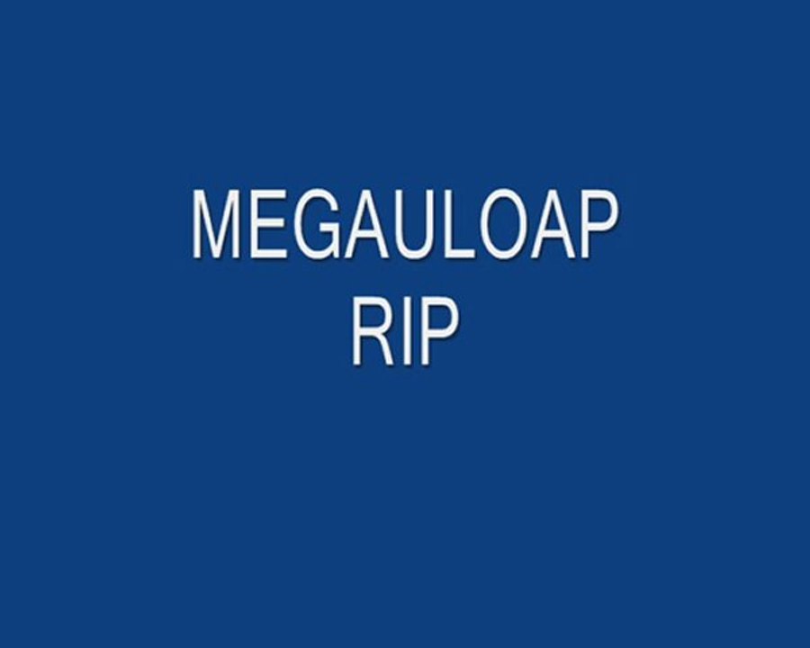Megauloap RIP