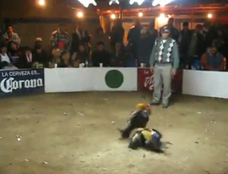 Prieta Linda En Cuatepec (1er Lugar)