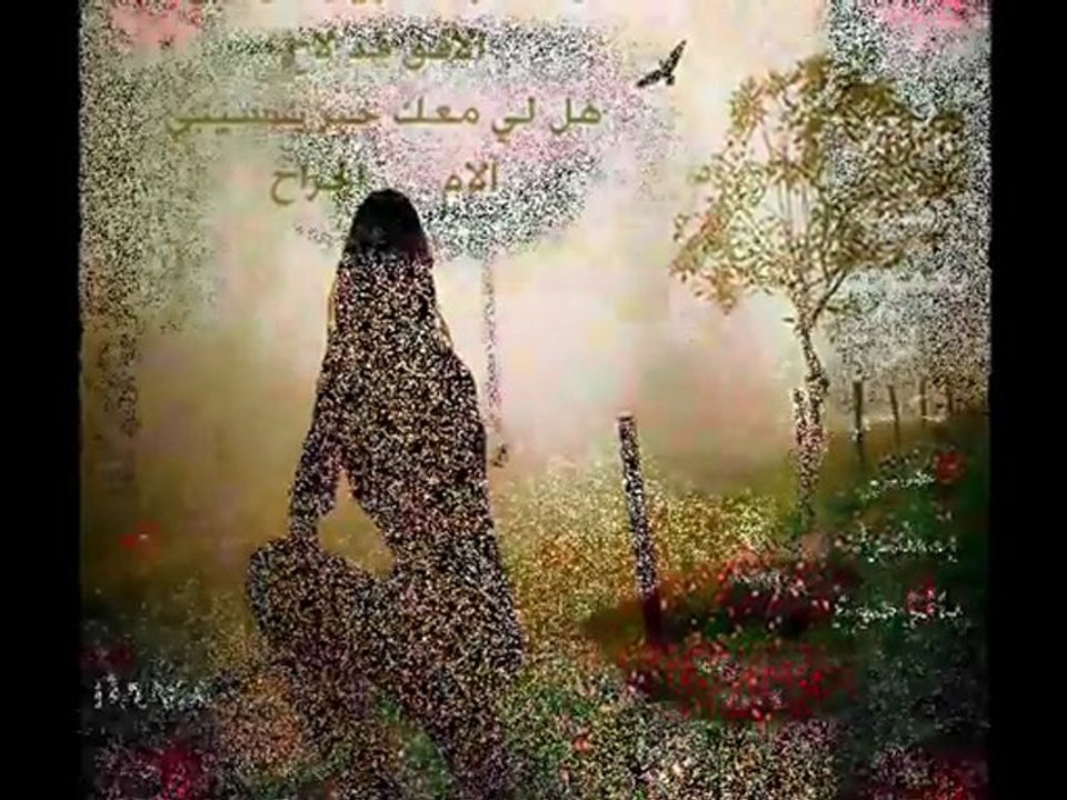 يا طير يا مسافر له - حاتم العراقي