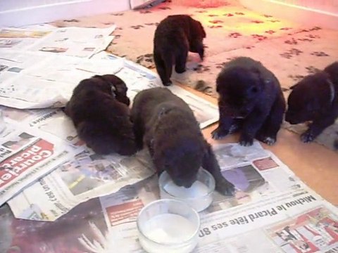 28 janvier 2012 : premiers repas