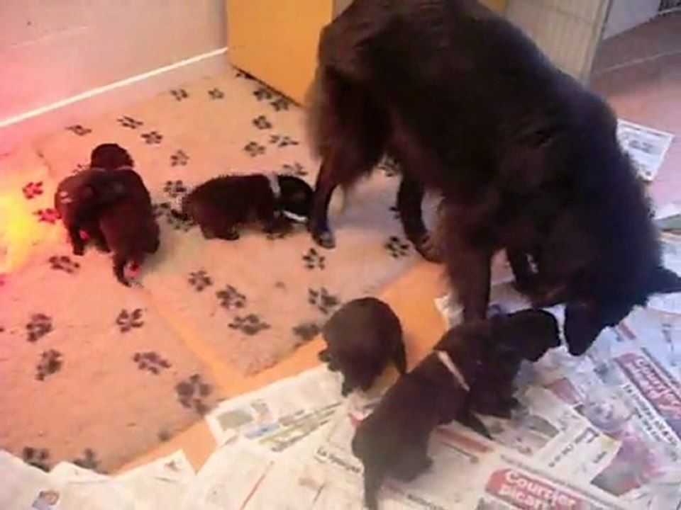 28 janvier 2012 : 17 jours