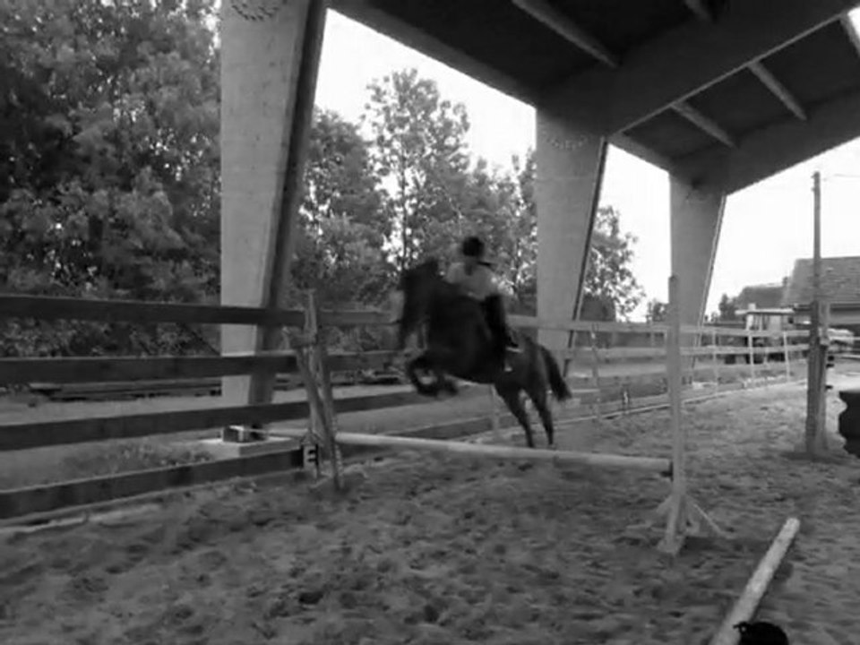 Ma jument, mon bonheur au quotidien.