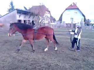 Ulkhan longues rênes parcours